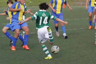 国家体育场运营中心发布暑期开放时间公告，国家体育场百度百科